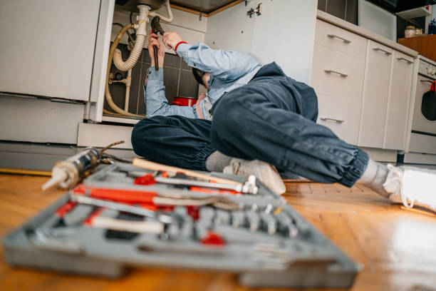 Best Plumbing Inspection Services  in Alanes Ridge, CA