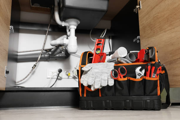 Best Plumbing Services Near Me  in Alanes Ridge, CA