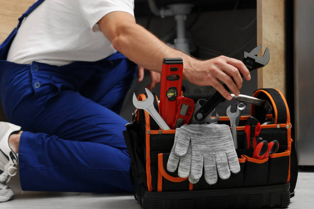 Best Plumbing Repair Near Me  in Alanes Ridge, CA